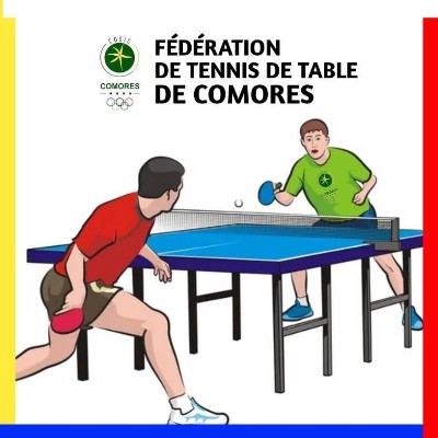 Tennis De Table Logo